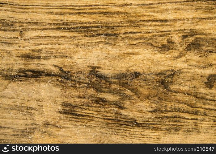 old plank with cracks and texture
