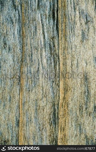 old plank with texture