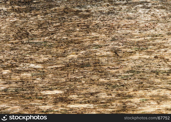 old plank with texture. old plank with texture