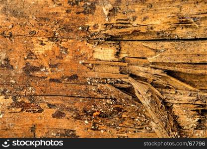 old plank with texture. old plank with texture