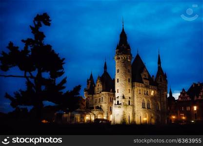 old Polish castle in the village of moszna in the night lights