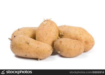 Old potatoes with sprouts isolated on white background.. Old potatoes with sprouts isolated on white background