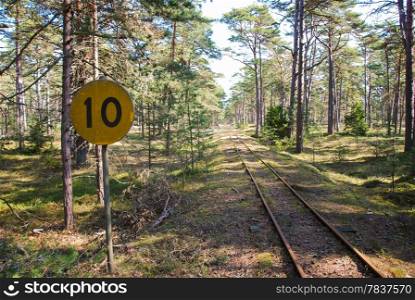 Old railroad tracks in a bright pine tree forest. From the island Oland in Sweden.