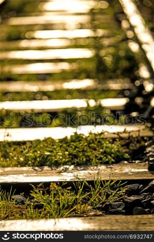 old rails in soft autumnal morning sun