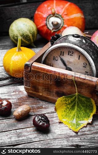 Old retro clock,pumpkin and chestnuts in rural style