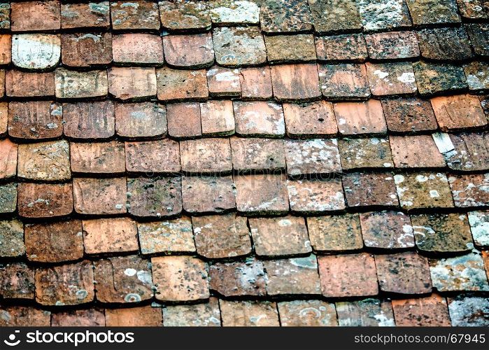 old roof with medieval roof tiles