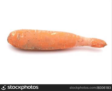 old rotten carrot white background. old rotten carrot white background