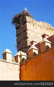 old ruin in brown construction africa morocco and sky near the tower