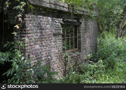 old ruine with window in dutch forest