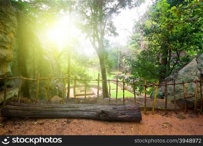 Old ruins in green park on Sigiriya, Sri Lanka