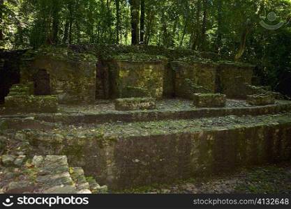 Old ruins of a building, Group C, Palenque, Chiapas, Mexico