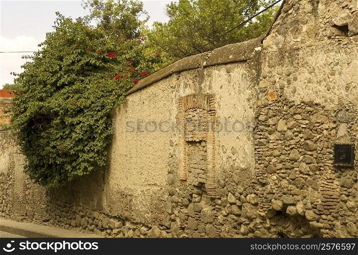 Old ruins of a building, Mexico