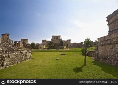 Old ruins of a castle in a grassy field, Zona Arqueologica De Tulum, Cancun, Quintana Roo, Mexico