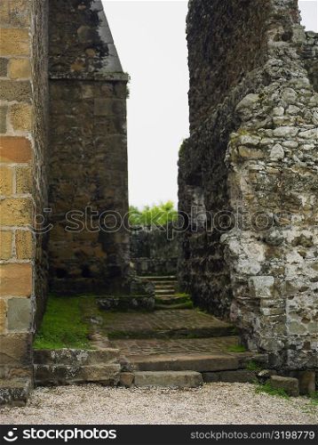 Old ruins of a church, La Merced Church, Old Panama, Panama City, Panama