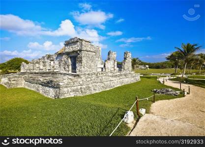 Old ruins of a palace in a grassy field, Zona Arqueologica De Tulum, Cancun, Quintana Roo, Mexico