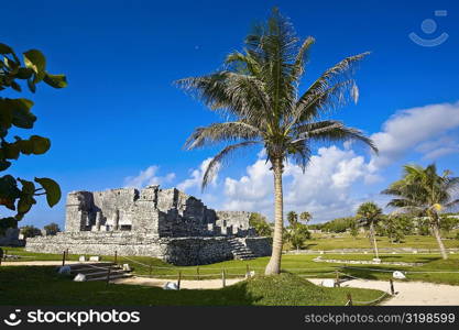 Old ruins of a palace in a grassy field, Zona Arqueologica De Tulum, Cancun, Quintana Roo, Mexico