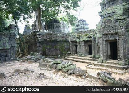 Old ruins of a temple, Angkor Wat, Siem Reap, Cambodia