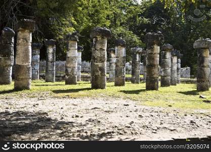 Old ruins of columns on a landscape, Plaza of the Thousand Columns, Chichen Itza, Yucatan, Mexico