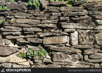 Old rural dry masonry stone wall with ivy plant closeup as background