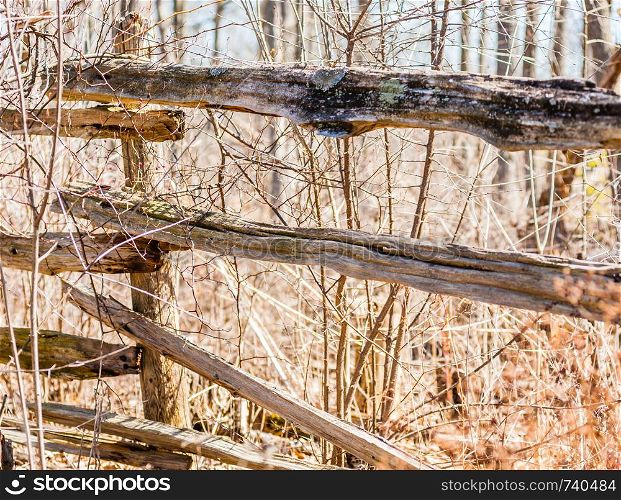 Old rural weathered and cracked brown wood fence and post among dry branches.