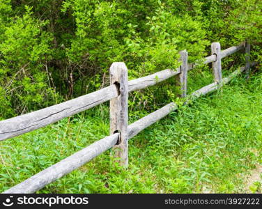 Old rural weathered and cracked gray wood fence and posts going into lush green overgrown bushes.