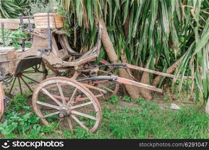 old rustic carriage in the grass