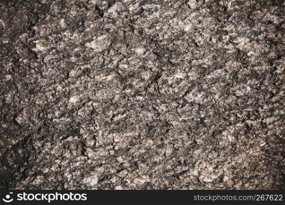 Old rustic dark tree bark with natural pattern, Abstract grunge nature background, Close-up, Macro shot.