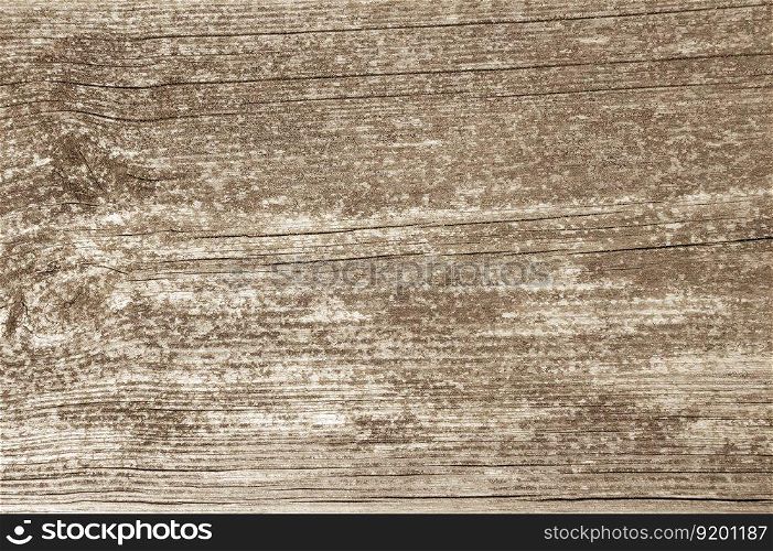Old rustic wood background texture. Closeup view. Old rustic wood background texture