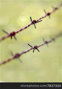 Old rusty barbed wire on a green background