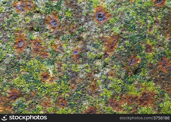 Old rusty iron for background with spots of moss