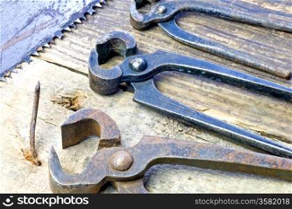 old rusty pliers with nail. alte Beisszange mit Nagel