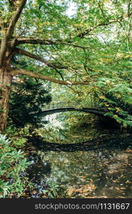 Old small bridge in the Park in the summer
