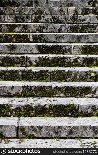 Old stairs covered in moss