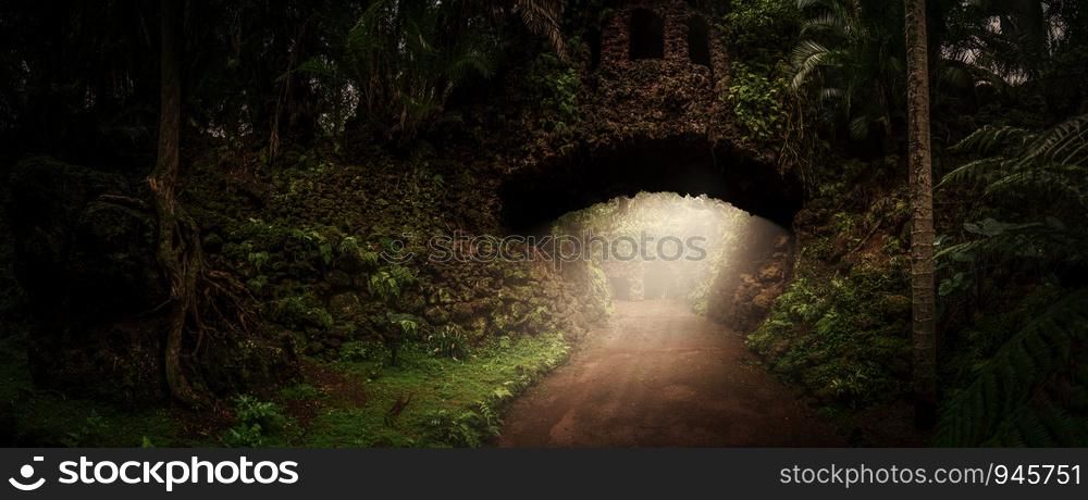 Old stone bridge in the jungle