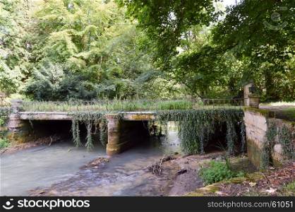 Old stone bridge with forged gates. Old stone bridge with forged gates overgrown with ivy on a river in a forest of the Meuse in France