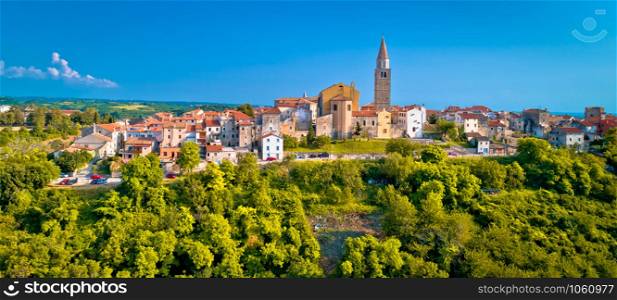 Old stone town of Buje on green hill panoramic view, town in Istria, Croatia