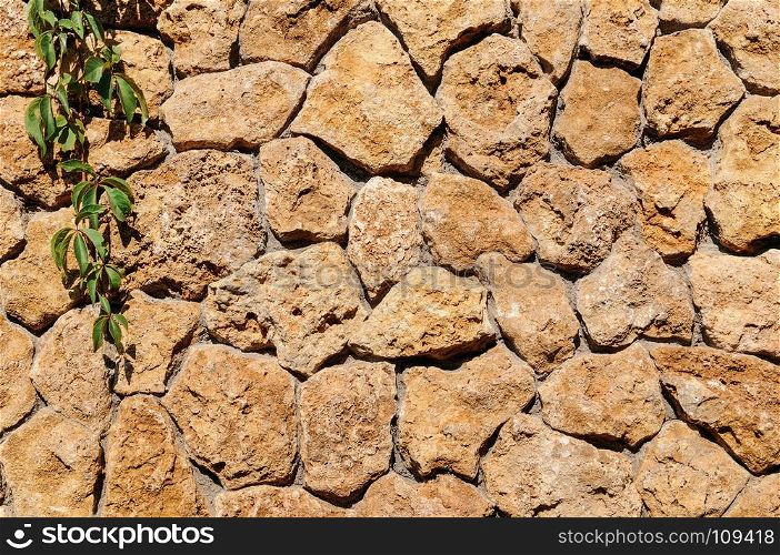 Old stone wall with ivy as background. Decorative facing of the outer walls of the house.