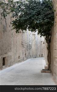 old street in the village mdina on the island Malta