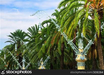 old street lamps and palm tree
