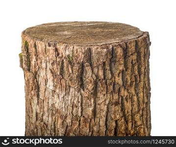 Old stump isolated on a white background. Old stump isolated
