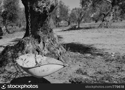 Old Swing in black and white, subject for the branches of an olive tree