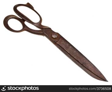 old tailor scissors isolated on white background