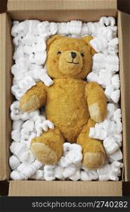 Old teddy bear in a cardboard box with styrofoam packaging