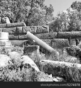 old temple and theatre in termessos antalya turkey asia sky and ruins