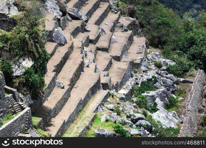 old terraces and ruins in Machu Picchu