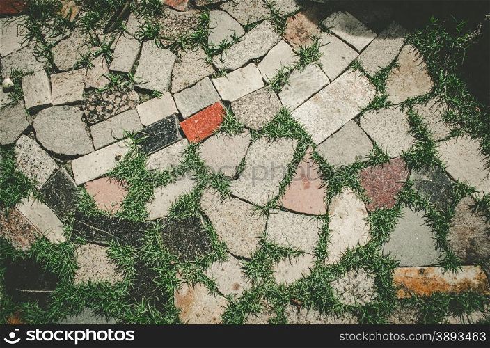old tiles at the sidewalk with plants in the joints