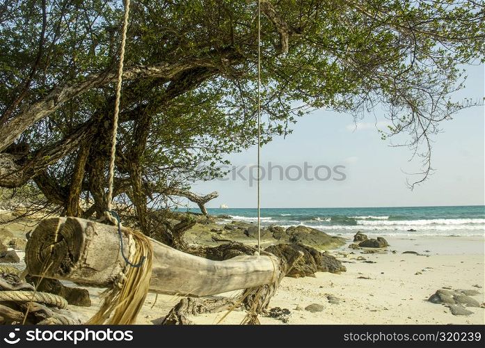 Old timber tied under the tree to sit and relax by the sea