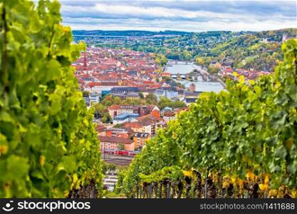 Old town of Wurzburg view from the vineyard hill, Bavaria region of Germany