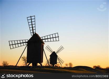 Old traditional windmills in late evening sun at the swedish island Oland