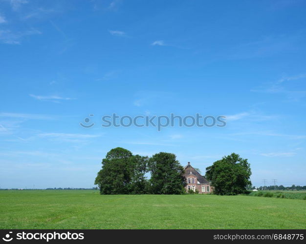 old typical farm between protecting trees under blue sky in the coutryside just outside city of leeuwarden in the netherlands